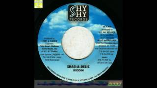 Shag A Delic Riddim Mix  2000  (Shy Shy Records) Mix by djeasy