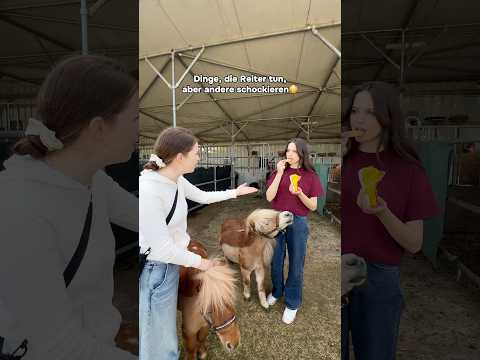 Was fällt euch noch ein?😂 #horse #equestrian #pony #fail #pov #shetty