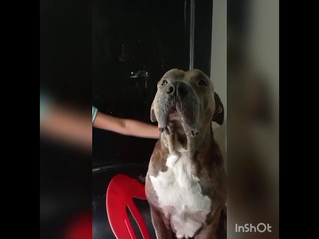 Video 3