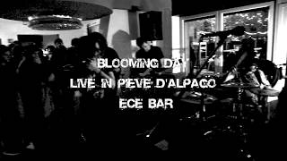 BLOOMING DAY Live @ ECE Bar (Pieve d'Alpago) 26 dicembre 2010