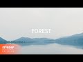 Jeong Sewoon - Can't Take My Eyes Off You (Forest Version)