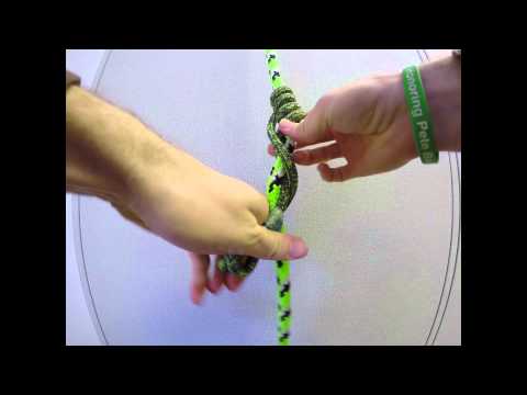 Valdotain Tresse Hitch