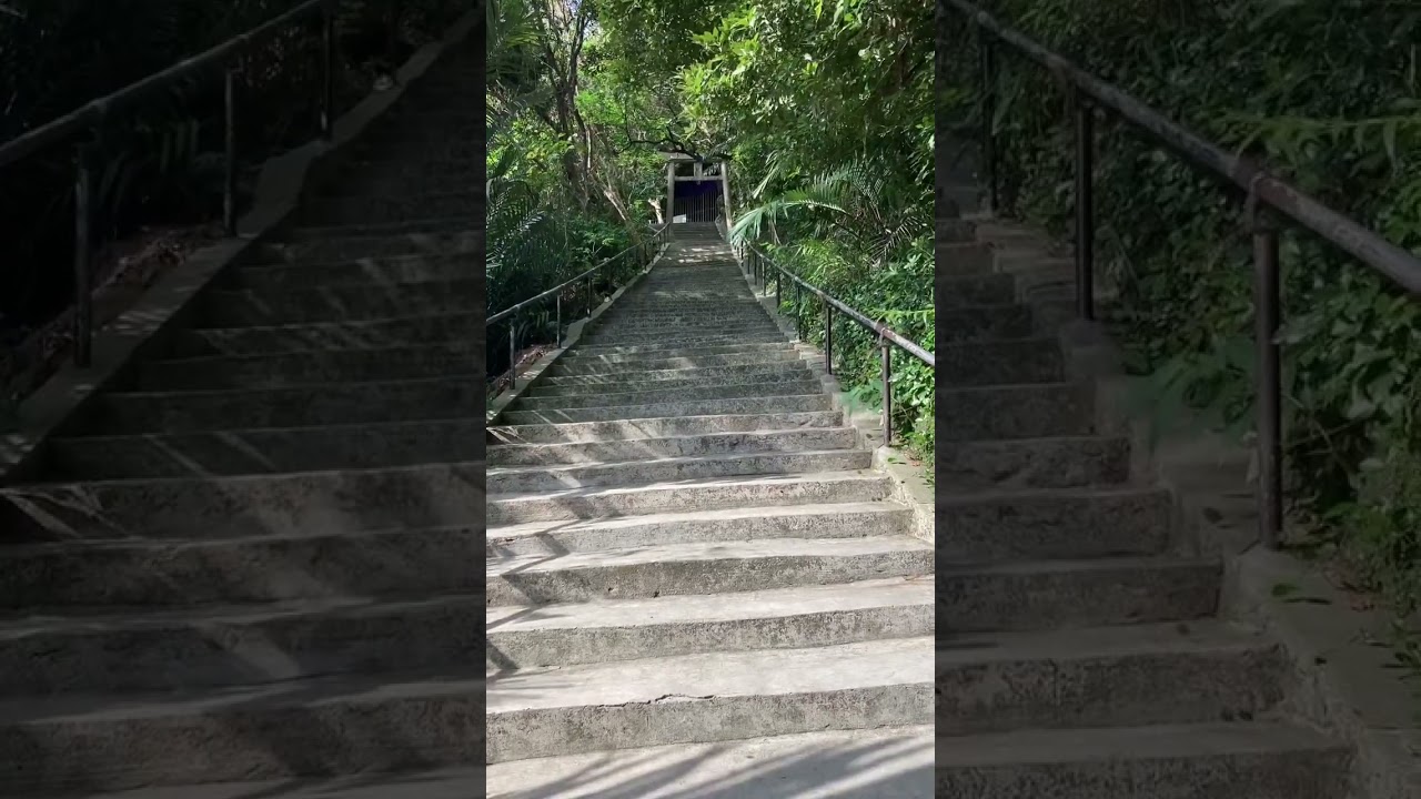 #japan #shirumichu #シルミチュー