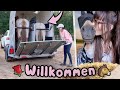 Der Große Tag Unsere Pferde Ziehen Auf Den Rosenhof 🥹