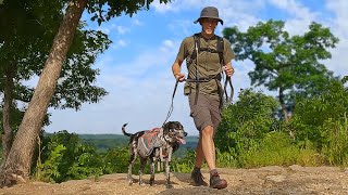 Hiking FOUR Trails At Ha Ha Tonka | Exploring Castle Ruins