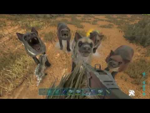 Ark Survival Evolved Ragnarok - Season 1 Ep33 - How to Tame a Hyaenodon