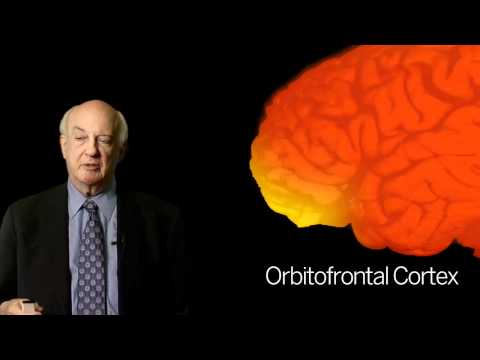 The Neurobiology of Evil