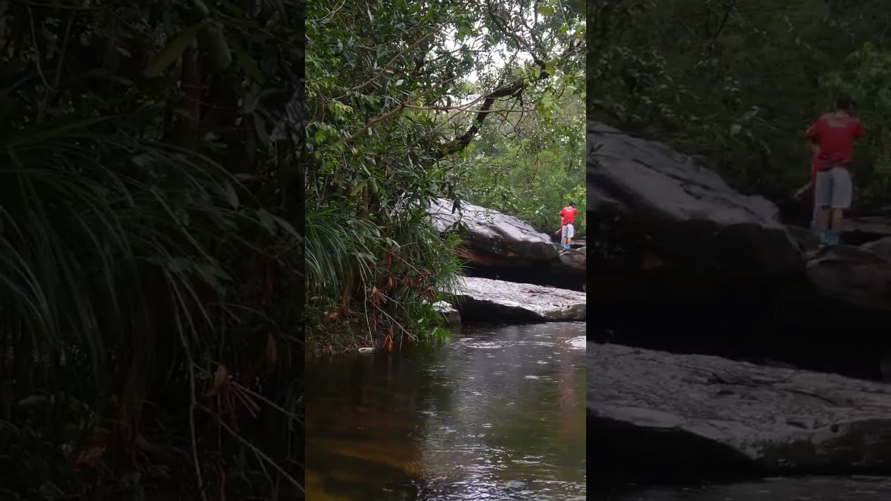 YouTube Short thumbnail