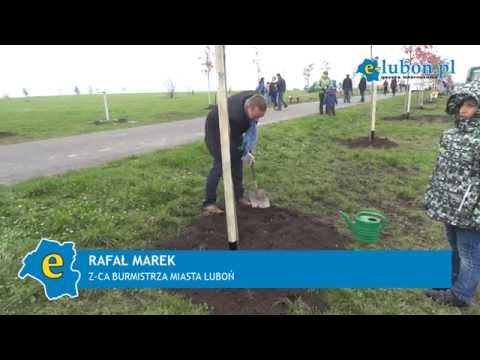 e-lubon.pl 60 drzew na 60-lecie miasta Luboń