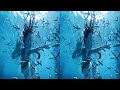 SBS 3D Avatar Movie 3D Complete Movie