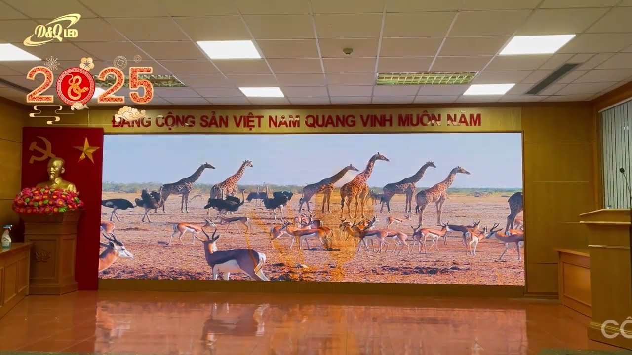 Video du an