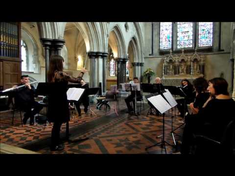 Toot Sweets - Chichester Flute Choir