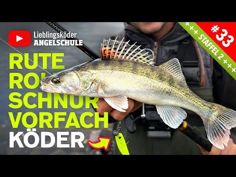 Angelausrüstung zum Zanderangeln (mit dem Gummifisch) 🔥🎣👍🏼