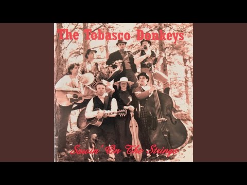Fire On The Mountain - The Tobasco Donkeys