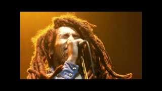 Bob Marley & The Wailers " Zion Train HD " Dortmund 80 !!
