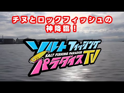 チヌとロックフィッシュの神降臨！（ソルパラTV・第46回2021年8月12日放送）