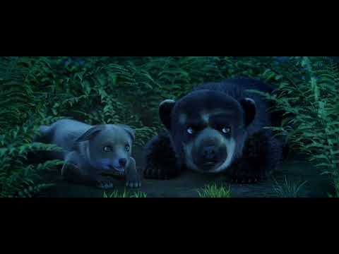 Thumbnail of the video: Milagros: Una Osa Extraordinaria/Tráiler/Star Films