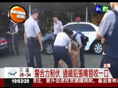 通緝犯拒捕衝撞 遭制伏狠咬員警