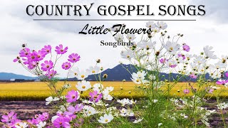 Beautiful Country Gospel Songs - "Little Flowers" SONGBIRDS by Lifebreakthrough