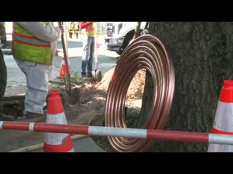 Lead Line Notifications