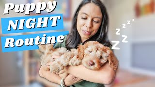 Get your PUPPY to SLEEP ALL NIGHT without Crying! 🙌