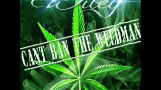 SHE LIKES BY : A.L.WILEY