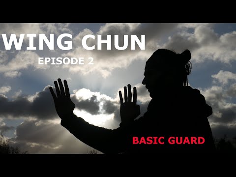 Wing Chun Basic Guard