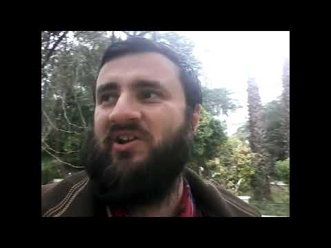 ПИТТСБУРГ - НЭШВИЛЛ 1-3(43-26)+++/Прогноз на НХЛ 29.3.2019/Ставки и прогнозы на хоккей