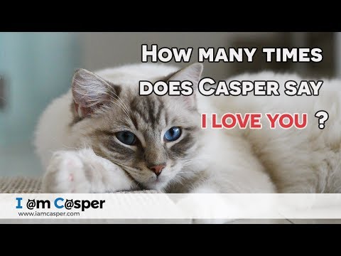 How many times does Casper say I love you with his eyes ...