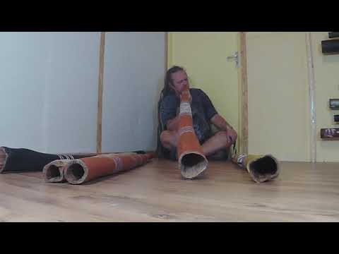 MT-Yidaki playing an E-F Djalu Gurruwiwi yiḏaki / didgeridoo