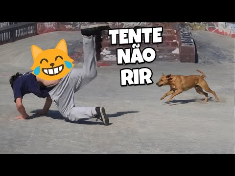 TENTE NÃO RIR 😂 OS MELHORES VÍDEOS ENGRAÇADOS DO ANO! MEMES