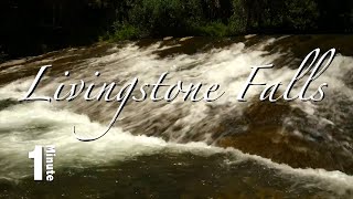 Relax for one minute with nature. Reduce stress for 60 seconds. Bring yourself to the present moment