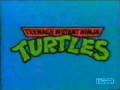 Teenage Mutant Ninja Turtles - Heavy Metal Cover ...