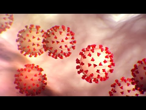 密歇根州4例可能的冠狀病毒病例均呈陰性反應。 (All 4 possible Michigan cases of coronavirus come back negative)