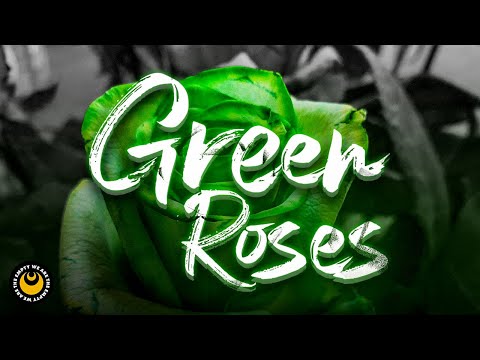 We Are The Empty - Green Roses (Official 3D Lyric Video)