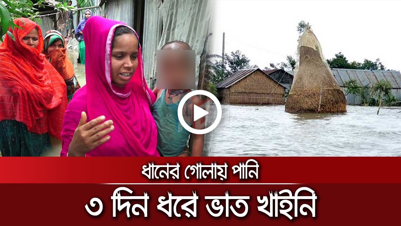 ৩ দিন ধরে ভাত খাইনি, ধানের গোলায় পানি