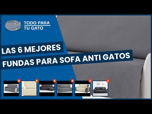 Vídeo relacionado con Fundas de Sofa Anti Gatos - Protector Sofa Perro - Funda Sofá Gatos - Fundas Protectoras Anti Gatos y Perros - Antiarañazos y Pelos de Mascota - Apto para Chaise Longue - 65x40 cm - (2uds)