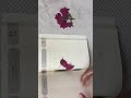 WALL ART | PRESSED FLOWER WALL ART