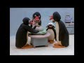 Pinga Is Born NOOT NOOT