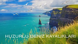 Huzurlu Deniz Kayalıkları ve Martılar – Rahatlama ve Hafıza Bakımı için 2 Saatlik Okyanus Sesleri