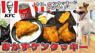 ケンタッキーのチキンってご飯のおかずになるよね!?【猫ミーム】