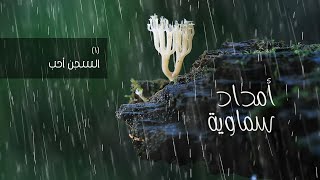 صورة أمداد سماوية