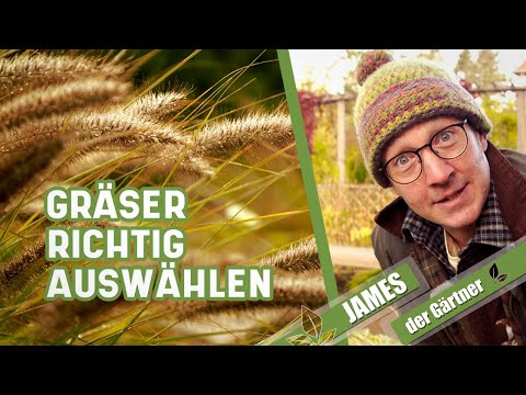 So findet man das passende Ziergras für den Garten! | James der Gärtner