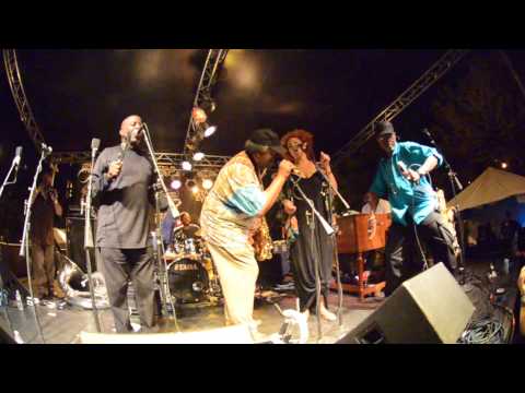 Dirty Dozen Brass Band Dirty Ol Man  Aug 17 2014 Logan Fest Chicago nunupics.com