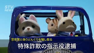 シルバニアの特殊詐欺