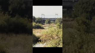 【RADWIMPSトリビュート】オーダーメイド arranged by 二ノ宮はぐ #radwimps #オーダーメイド #トリビュート #cover #歌ってみた #アレンジ