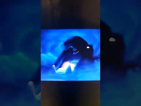 Rodneyladdin Redialed Scene 275