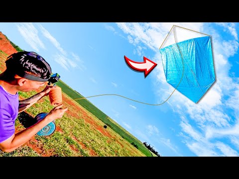 I FLEW THE BIGGEST KITE IN THE WORLD