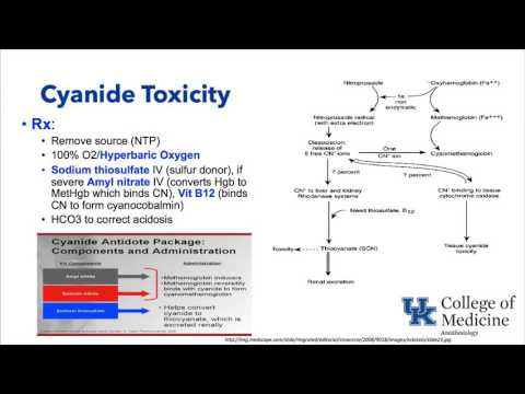 Keyword Review: Temperature and Toxicity - Dr. Schell