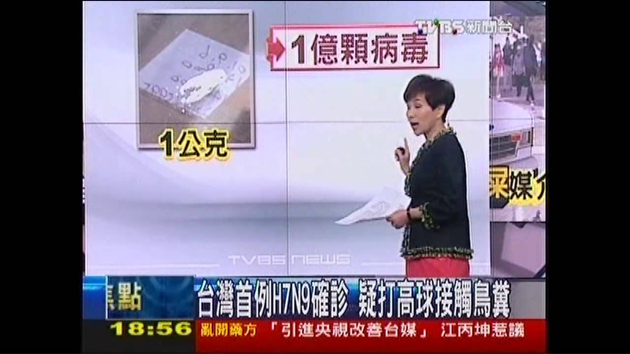 台H7N9首例　疑打高球觸鳥糞染病